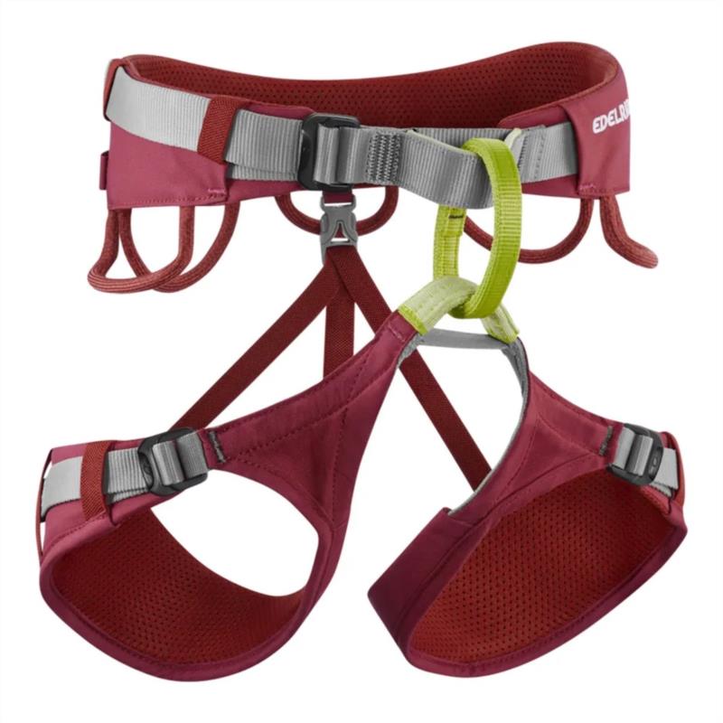 JAYNE IV RED